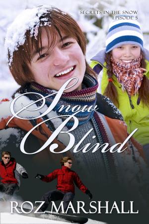 Book cover of Snow Blind