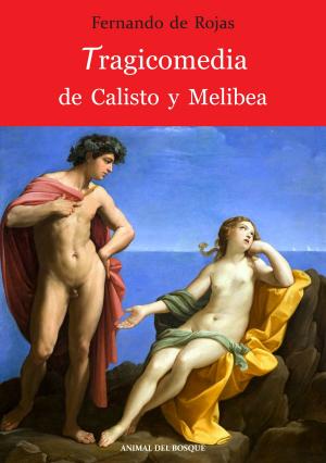 Cover of the book Tragicomedia de Calisto y Melibea by Sue Hart
