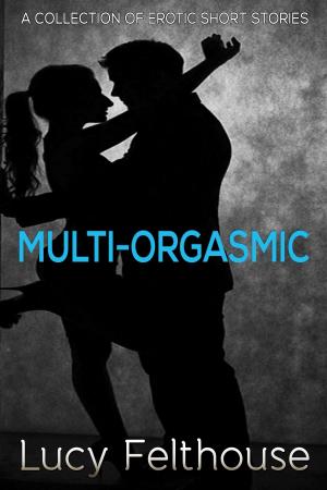 Cover of the book Multi-Orgasmic by Lucy Felthouse