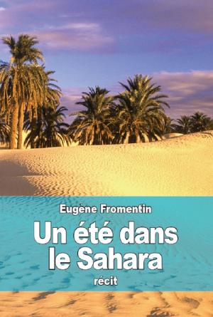 Cover of the book Un été dans le Sahara by Martin Paul