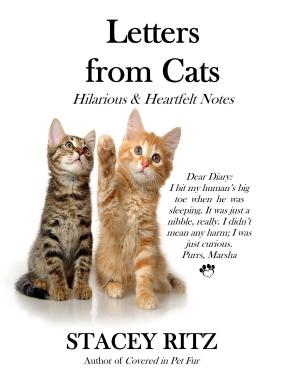 Book cover of Letters from Cats