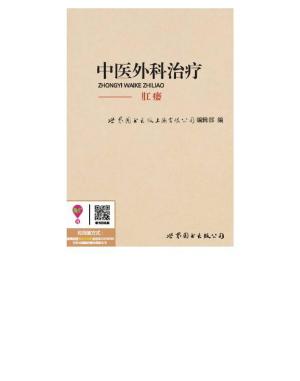 bigCover of the book 中医外科治疗：肛瘘 by 