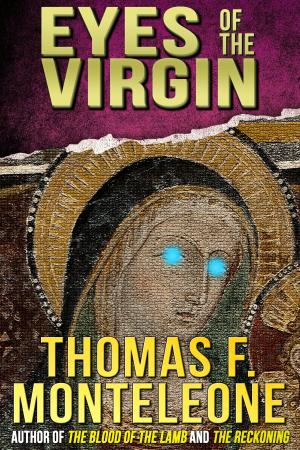 Cover of the book Eyes of the Virgin by JG Faherty