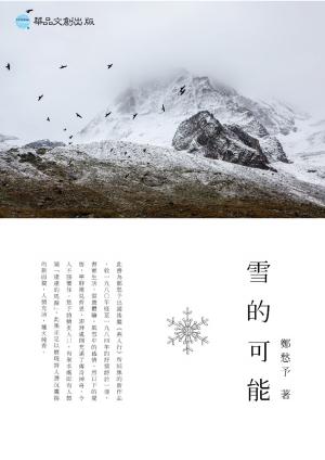 Cover of the book 雪的可能 by Michele Casati