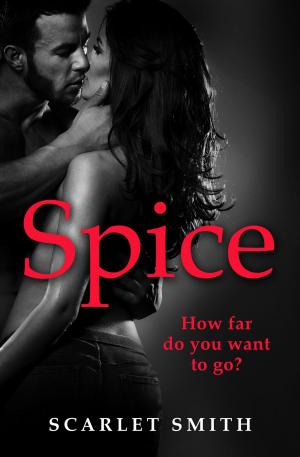 Cover of the book Spice by Erin Kelly