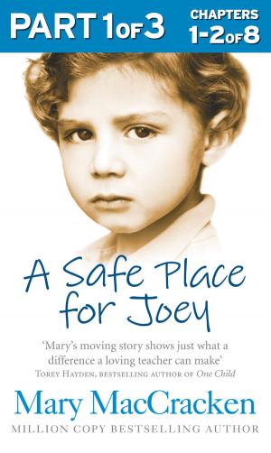 Book cover of A Safe Place for Joey: Part 1 of 3