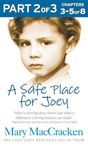 Book cover of A Safe Place for Joey: Part 2 of 3