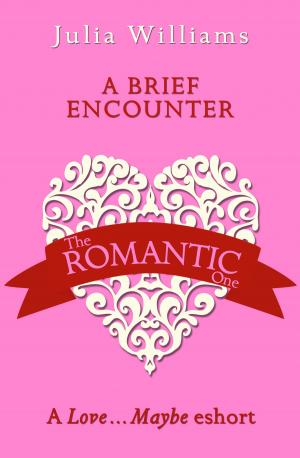 bigCover of the book A Brief Encounter: A Love…Maybe Valentine eShort by 