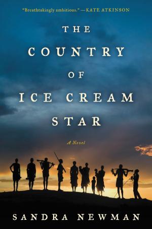 bigCover of the book The Country of Ice Cream Star by 