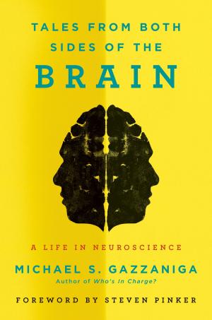 Cover of the book Tales from Both Sides of the Brain by Richard Blanco