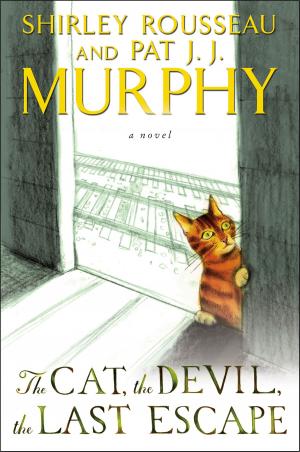 Book cover of The Cat, the Devil, the Last Escape