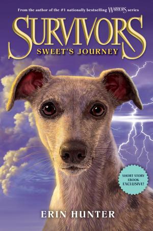 Cover of the book Survivors: Sweet's Journey by Rose Corcoran