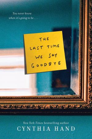 Book cover of The Last Time We Say Goodbye
