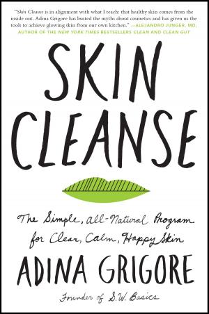 Cover of the book Skin Cleanse by Daniel Silva