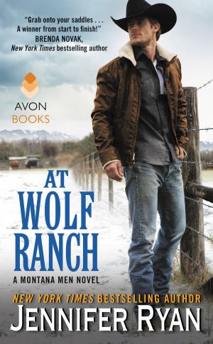 Cover of the book At Wolf Ranch by Emma Calin