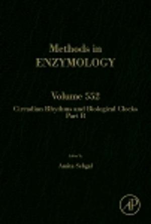 Cover of the book Circadian Rhythms and Biological Clocks Part B by Alexander M. Korsunsky