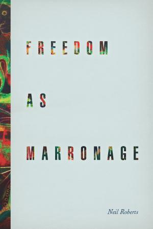 Cover of the book Freedom as Marronage by Hallam Stevens