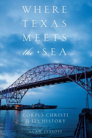 Cover of the book Where Texas Meets the Sea by Toby Olson