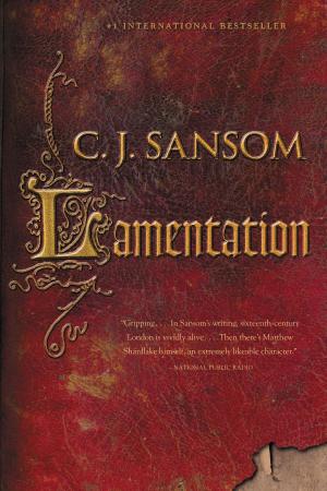 bigCover of the book Lamentation by 