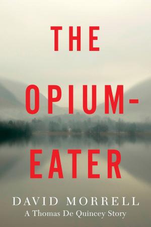 Book cover of The Opium-Eater