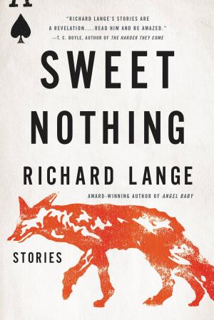 Book cover of Sweet Nothing