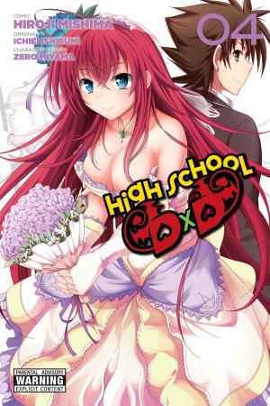 Book cover of High School DxD, Vol. 4