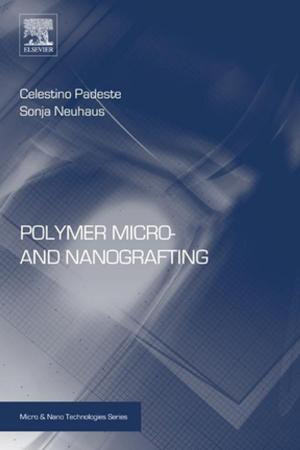 Cover of the book Polymer Micro- and Nanografting by Eric Scriven, Christopher A. Ramsden