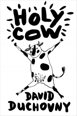 Cover of the book Holy Cow by Doug Marlette