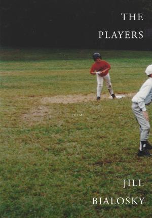 Cover of the book The Players by Richard Rayner