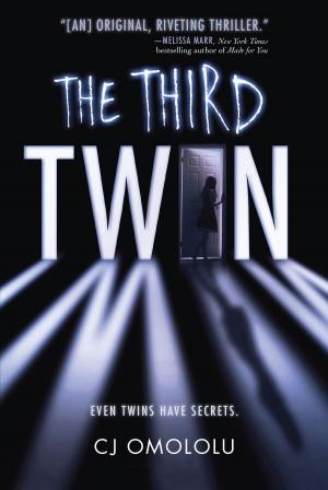 Cover of the book The Third Twin by Joan Lowery Nixon