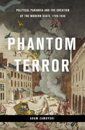 Cover of the book Phantom Terror by Colin Jones