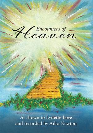 Book cover of Encounters of Heaven