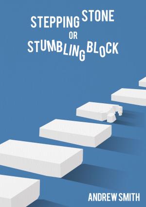 Cover of the book Stepping Stone or Stumbling Block? by Rachel L Derry