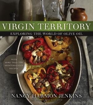 Book cover of Virgin Territory