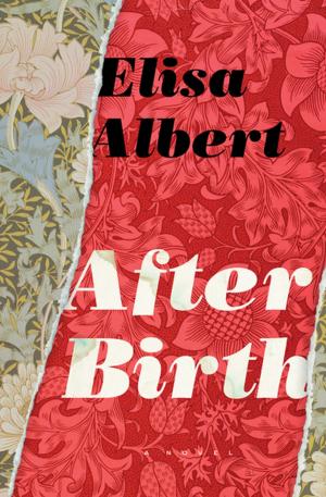 Cover of the book After Birth by Laura Kasischke