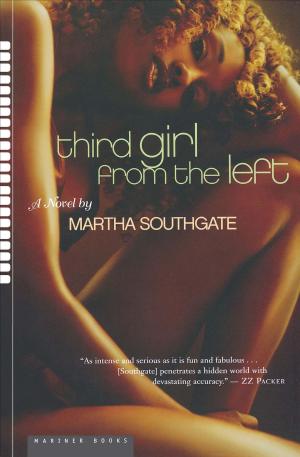 Cover of the book Third Girl from the Left by Patrice Kindl