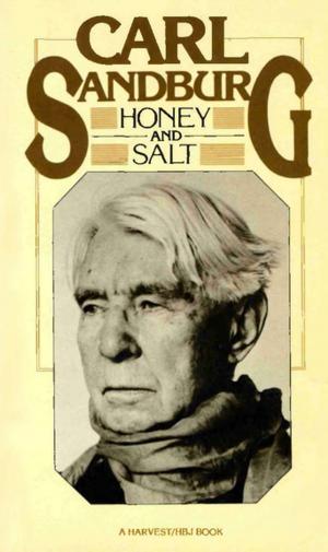 bigCover of the book Honey and Salt by 