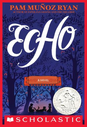 Cover of the book Echo by Edwidge Danticat