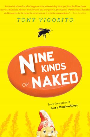 Cover of the book Nine Kinds of Naked by Vladimiro Merisi