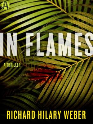Cover of the book In Flames by Phil Farrand