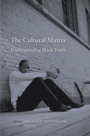 Cover of the book The Cultural Matrix by Jonathan Levy