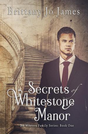 Book cover of Secrets of Whitestone Manor