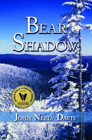 Cover of the book Bear Shadow by John Davis