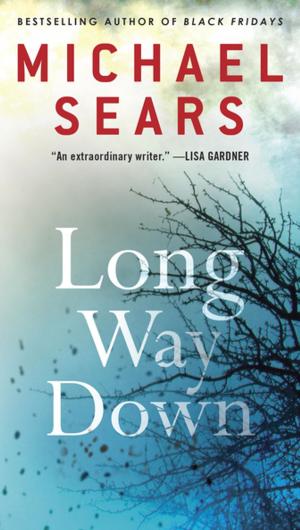 Cover of the book Long Way Down by D.G. Baxter