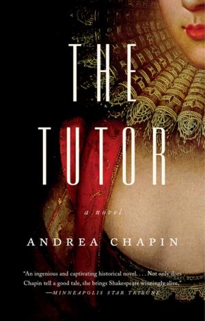 Cover of the book The Tutor by Randy Wayne White