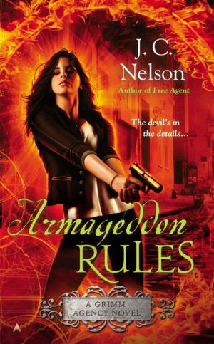 Cover of the book Armageddon Rules by Robert Benson
