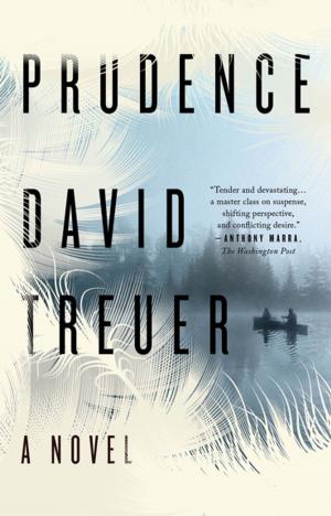 Cover of the book Prudence by Paul Christopher