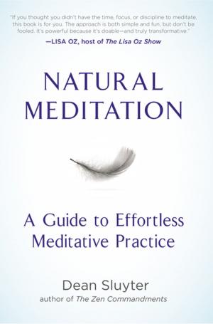 Cover of the book Natural Meditation by David A. Mindell