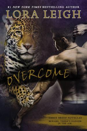 Cover of the book Overcome by Antony W.F. Chow