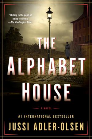 Cover of the book The Alphabet House by Jake Logan